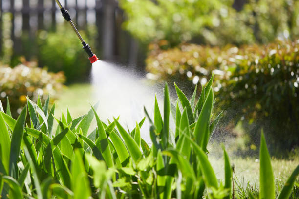 Void Injection for Cockroach Colonies in Sylvan Springs