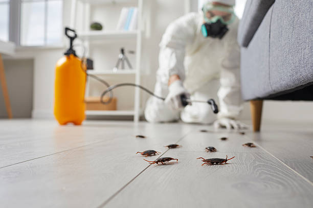 Commercial Kitchen Cockroach Control in Sylvan Springs